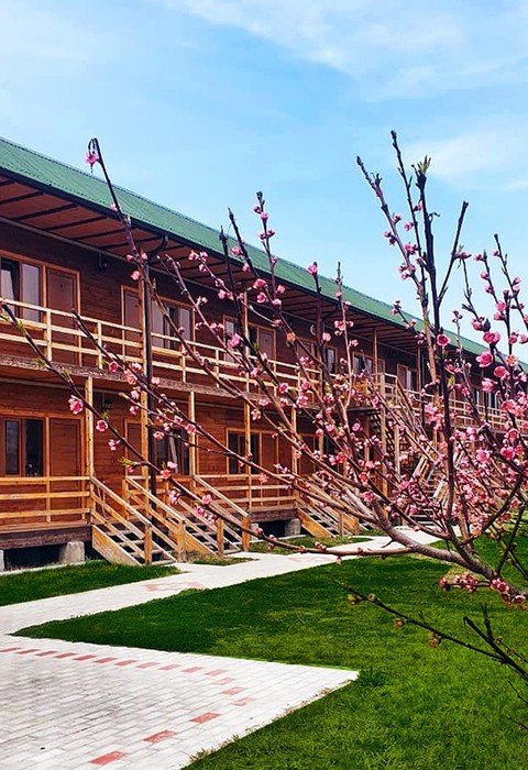 Гечрипш: "Ecohouse"