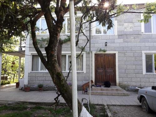 Гудаута: Guesthouse on Eshba 12