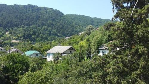 Багрипш: Apartment Bagripsh