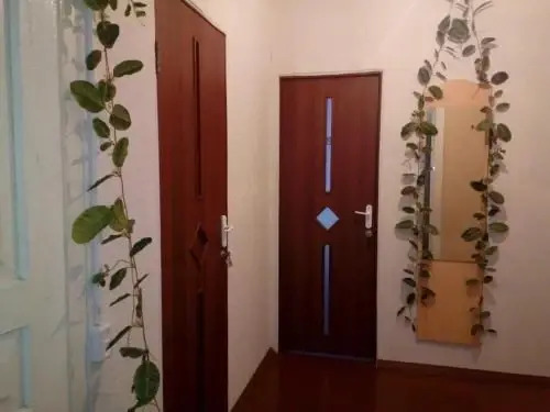 Цкуара: Abzhouse