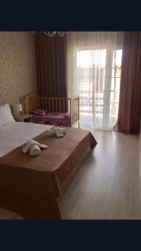 Цкуара: Inn Aradzny