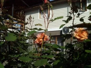 Сухум: Roza Guest House