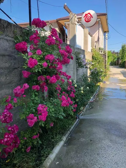 Сухум: Roza Guest House