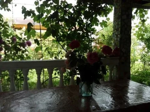 Сухум: Roza Guest House