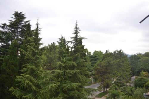 Сухум: U Morya Guesthouse