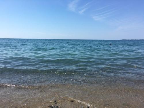Сухум: U Morya Guesthouse