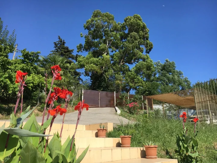 Гагра: Апарт-Отель VillaRomano
