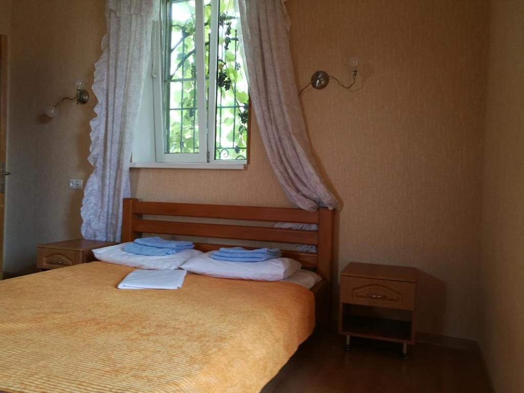 Гагра: Guest House Villa Roza
