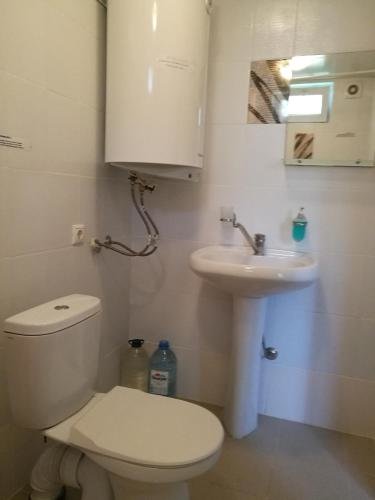 Гагра: Guest House Villa Roza