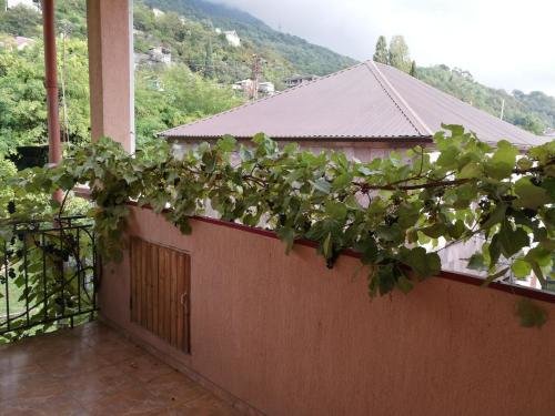 Гагра: Guest House Villa Roza