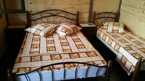 Цитрусовый: Guesthouse Pekan