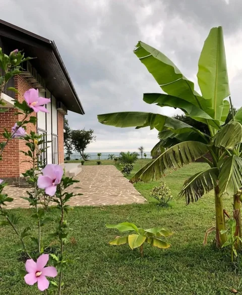 Гудаута: Inzhir Villadzh (Injir Village)