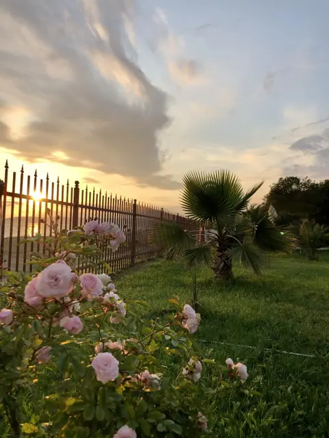 Гудаута: Inzhir Villadzh (Injir Village)
