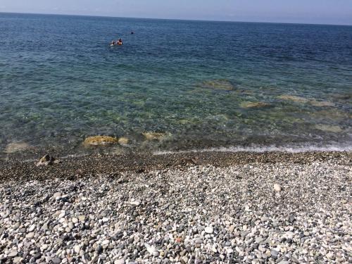 Гагра: Guest House Staraya Gagra