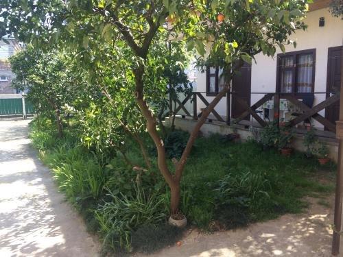 Гагра: LAD Guest House
