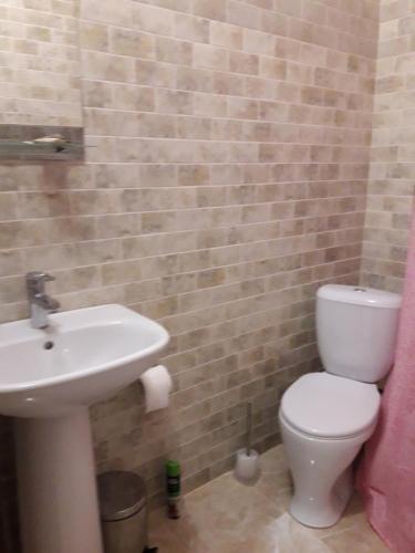Гагра: Otdyih U Tat'Yanyi Guest House