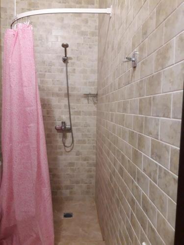 Гагра: Otdyih U Tat'Yanyi Guest House