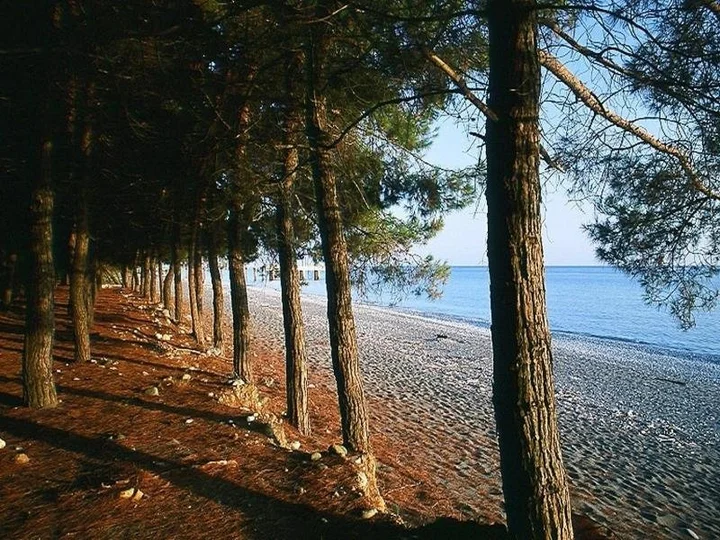 Лдзаа: Глория