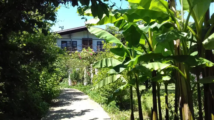 Бабушара: Alaku Hotel