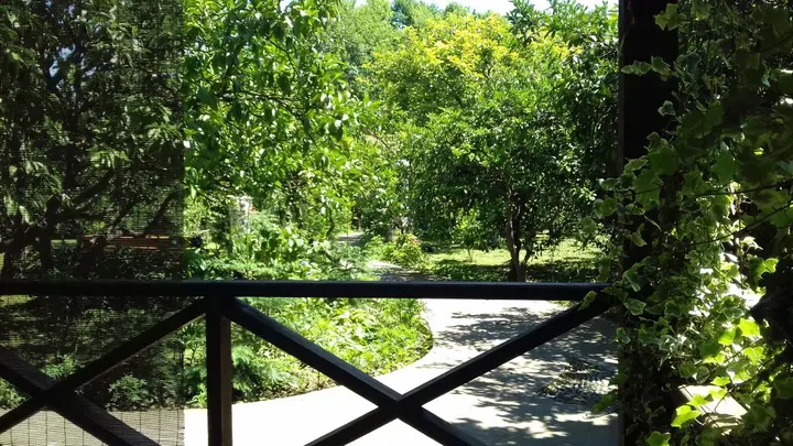 Бабушара: Alaku Hotel
