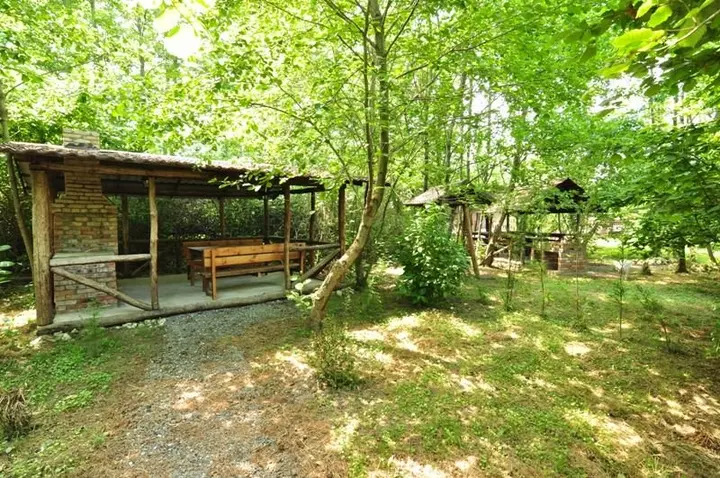 Бабушара: Alaku Hotel