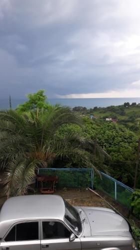 Новый Афон: Gayane Guest House