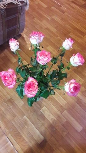 Новый Афон: Gayane Guest House