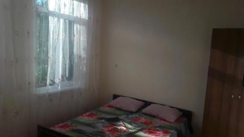 Новый Афон: Gayane Guest House