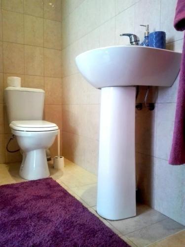 Гагра: Guest House Agava on Cherkesskaya 36