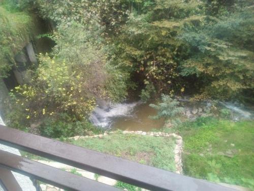Гагра: Guest House Agava on Cherkesskaya 36