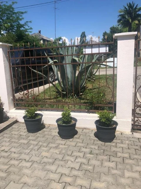Гудаута: Guest House na Vozba 9A