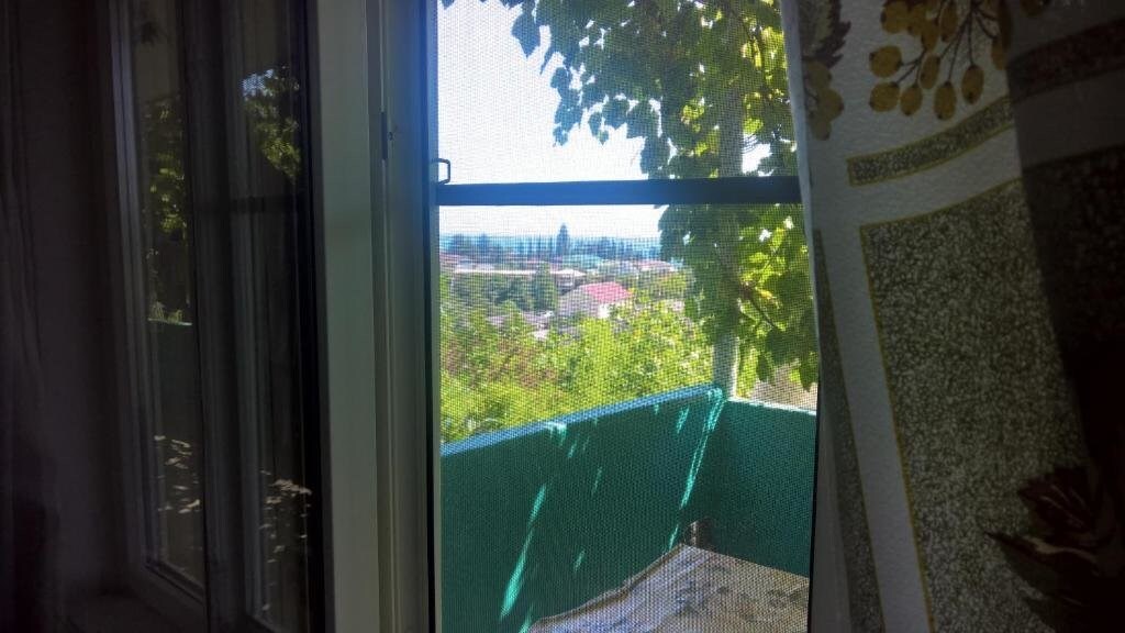 Лдзаа: Guest house Rechnaya 6