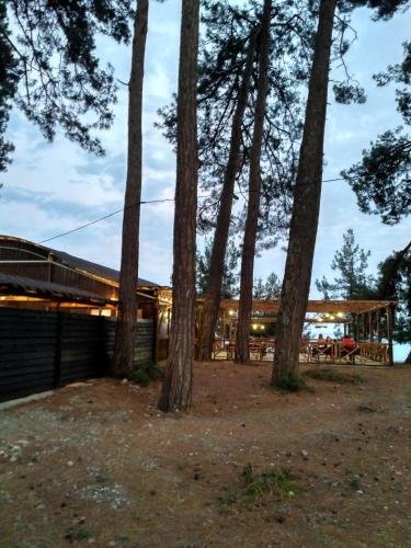 Лдзаа: Guest House on Nazadze 41A