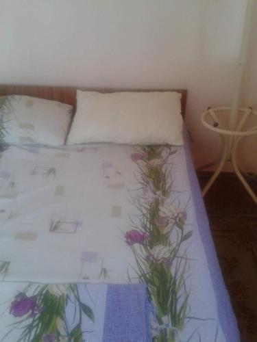 Гагра: Guesthouse on Chanba 12