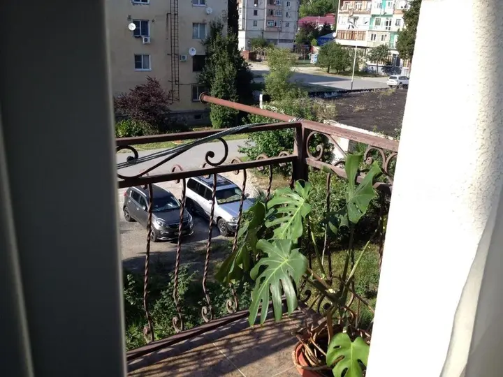 Гагра: Apartment on Abazgaa 55