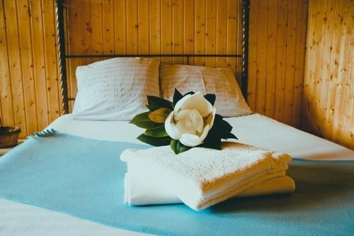 Гечрипш: Guest house ViDa