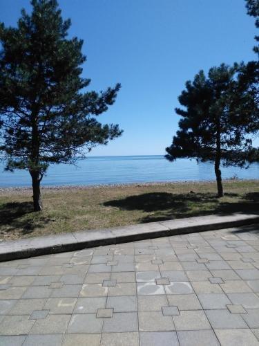 Сухум: Guest house Rufina