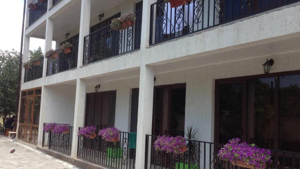 Пицунда: Guest house Inga