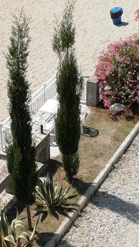 Золотая бухта: Mramorny Zamok Hotel