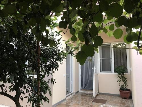Алахадзи: Guest house Ostrovok