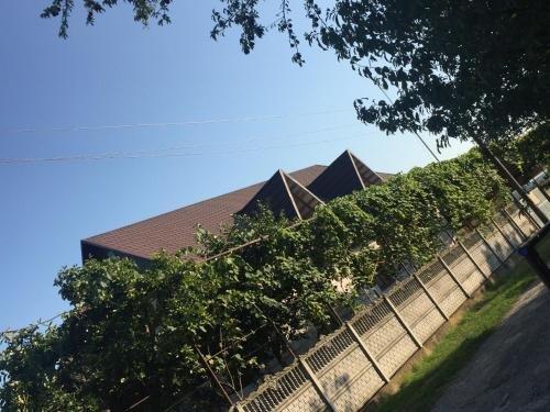 Гагра: Guest House Family