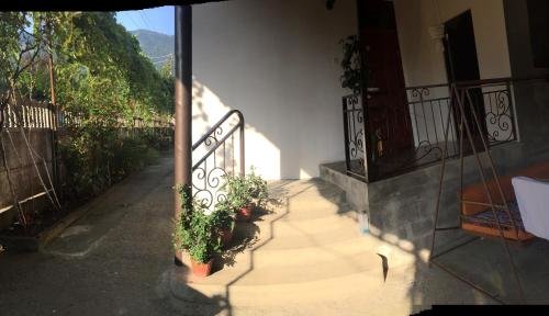 Гагра: Guest House Family