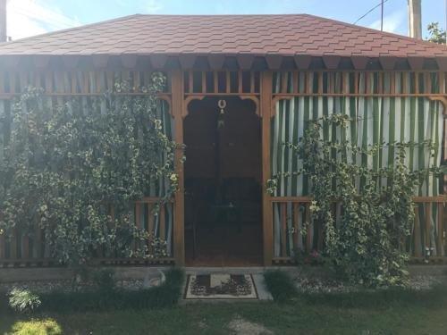 Гудаута: Guest House "Marina"