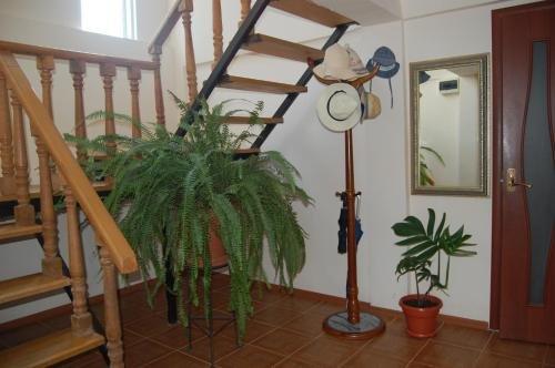 Гудаута: Guest House "Marina"