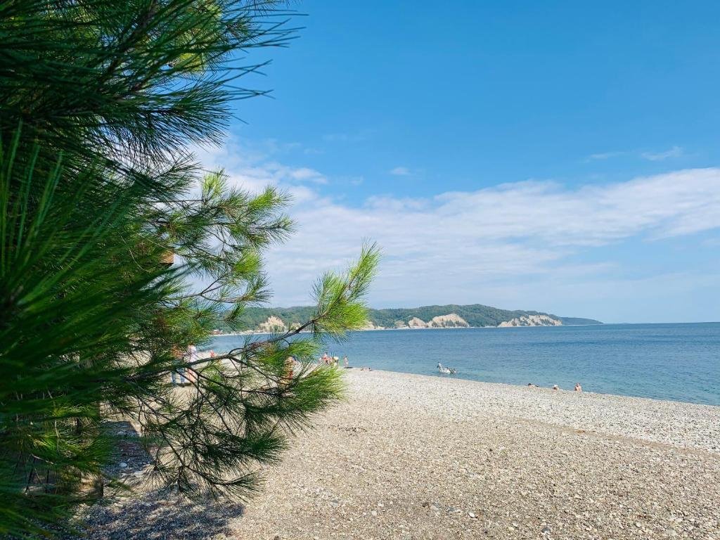 Гагра: Mini-Hotel Gagra-Camping