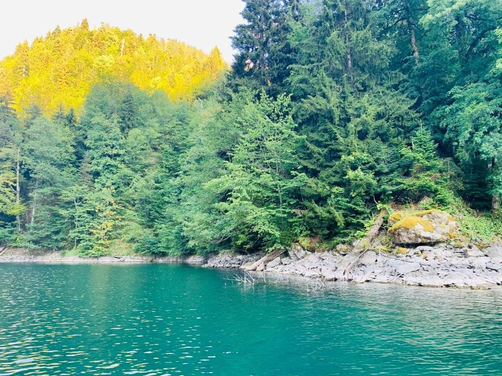 Гагра: Mini-Hotel Gagra-Camping