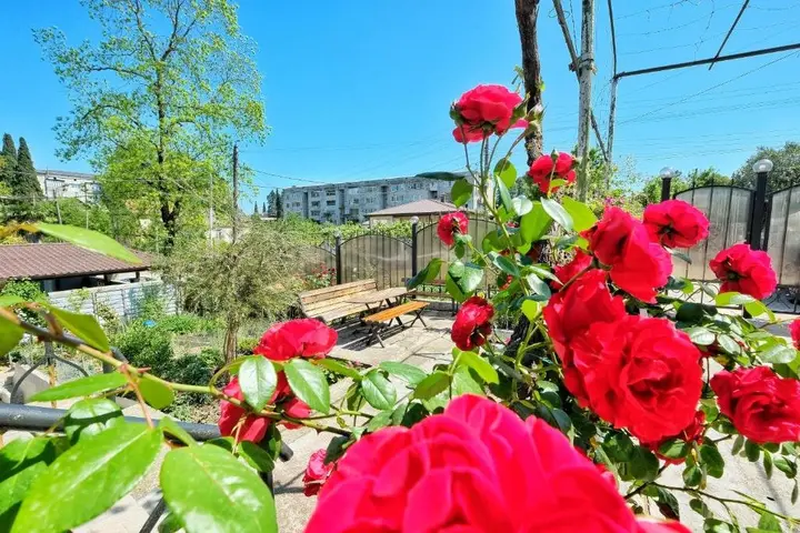 Гудаута: Guest House Rusalka