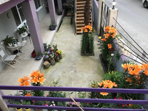 Гагра: Guest House REGAN