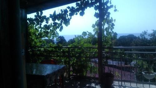 Гагра: Guest house on generala Dbar 109A