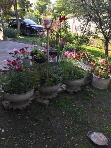 Гечрипш: Homestay U Violetty